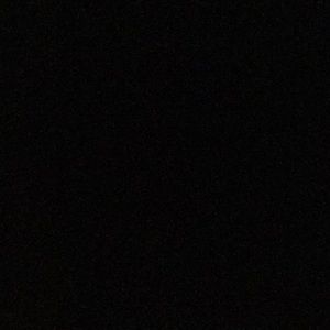 Meet your Posher, Donald